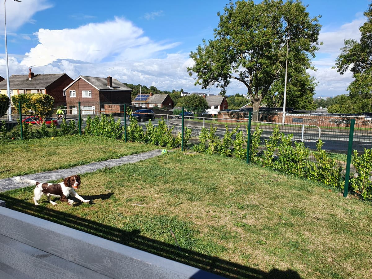 Mesh fencing installed on a front garden
