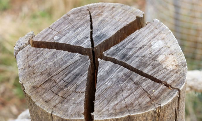 Split timber post