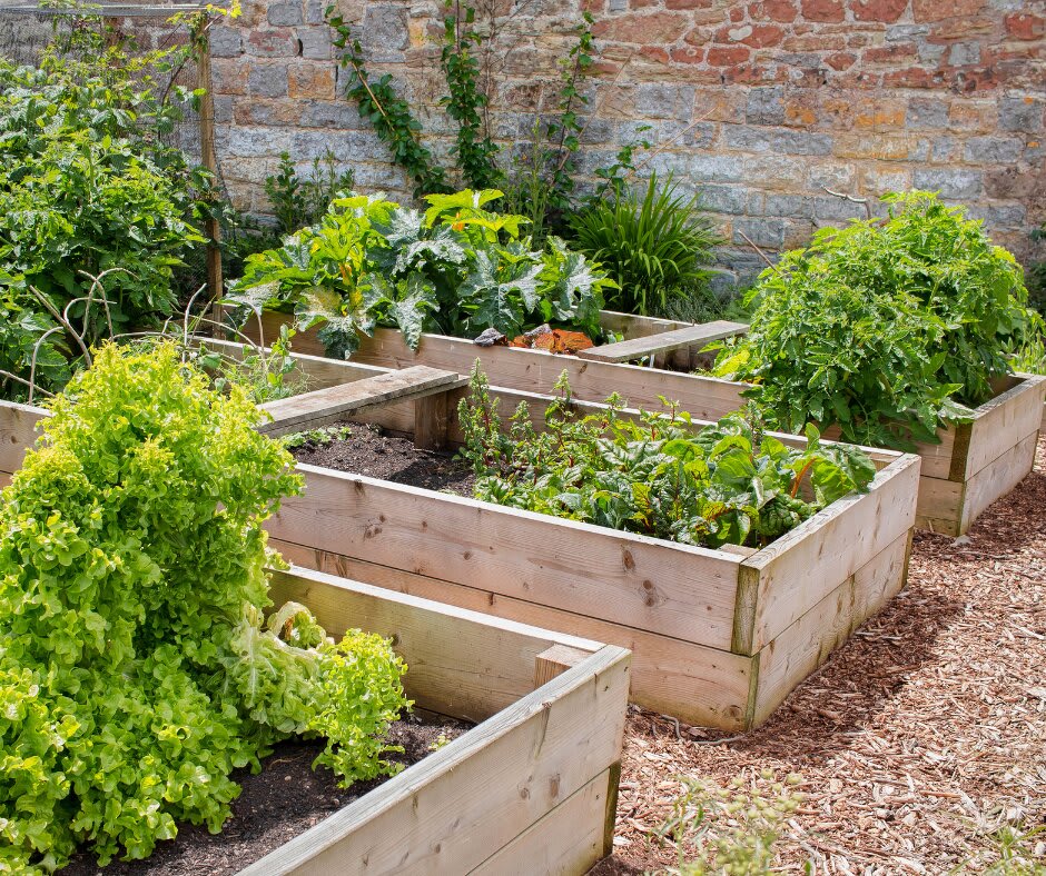Railway sleepers used as vegetable planters