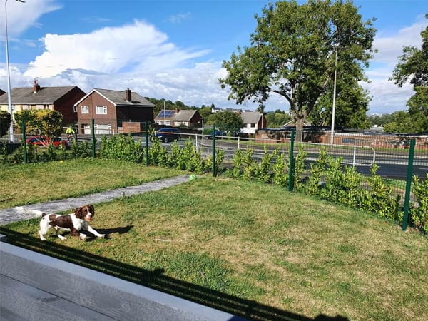 Mesh fencing installed on a front garden