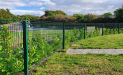 Mesh Security Fencing & Gates