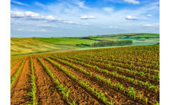 Agricultural Stock Fencing