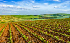 Agricultural Stock Fencing