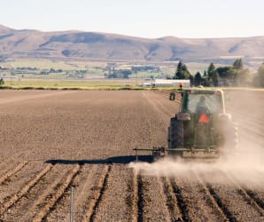 Agricultural Fencing