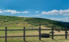 Recycled Plastic Mortised Post and Rail