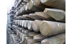 Agricultural Timber Fence Posts