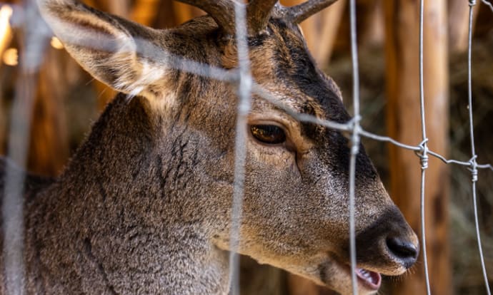 First Fence Launches Agricultural Wire Fencing Range