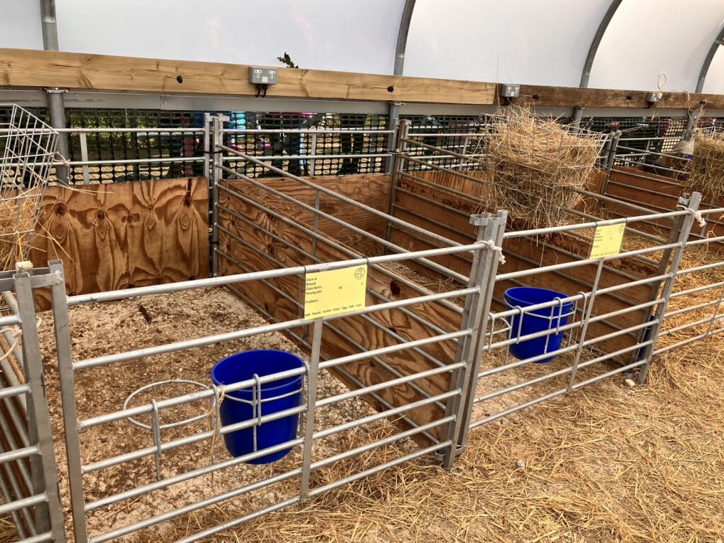 Sheep hurdles pens