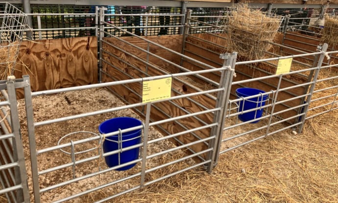 Sheep Hurdle Guide: Preparing for the UK Lambing Season