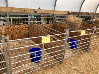 Sheep hurdles pens