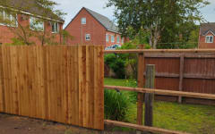 When to Replace Fencing