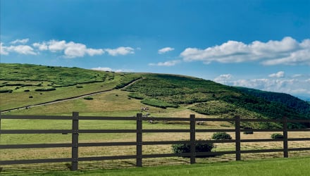 Brown post and rail system installed alongside path