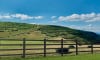 Why Choose Recycled Plastic Post and Rail Fencing Over Timber?