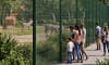Fencing Solutions for Zoos, Aquariums & Petting Farms During National Zoo & Aquarium Month