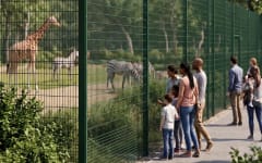 Fencing Solutions for Zoos, Aquariums & Petting Farms During National Zoo & Aquarium Month