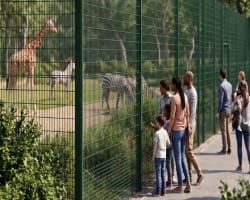 Fencing Solutions for Zoos, Aquariums & Petting Farms During National Zoo & Aquarium Month