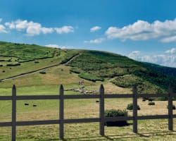 Why Recycled Plastic Fencing Performs Exceptionally Well in High Outdoor Temperatures