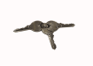 three keys