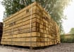 Pallet of green Railway Sleepers