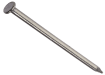 A single 100mm x 4.5mm round wire nail
