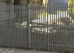 PaliFence® Palisade Security Single Leaf Gate Securingan industrial area