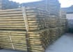 Tanalised wooden posts