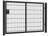 An Apollo 1.5m High x 2.5m Wide Single Leaf 868 Twin Mesh Gate with Digital Lock - Black PPC Finish