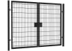 Twin mesh double leaf gate kit measuring 3.0m high and 6.0m wide, featuring a robust design suitable for enhanced security and accessibility.