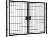 868 Twin Mesh Double Leaf Gate Kit in Apollo design, featuring a height of 3.0 meters and width of 6.0 meters, ideal for secure entrances.