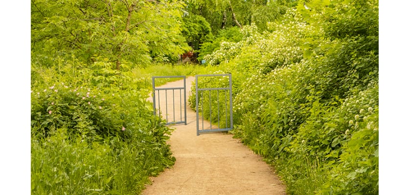 PG Pedestrian Guard Railings on a park pathway