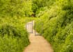PG Pedestrian Guard Railings on a park pathway