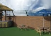 Outdoor reception area with a brick wall, and mesh fence addition mounted to the wall at a 60 degree angle