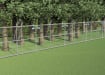 A Line of FirstShield Tree Protection Fencing Protecting a Wooded area