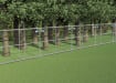 A Line of FirstShield Tree Protection Fencing Protecting a Wooded Area