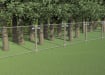 FirstShield® Tree Protection Temporary Panel Frame Kit with Timber Posts installed around trees.