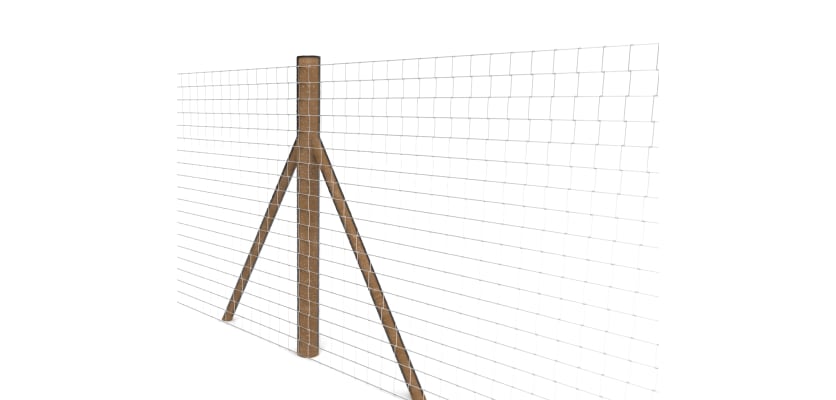 Creosoted intermediate timber posts with mesh wire fencing