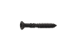 A Black Powder Coated Screw for the Bambura Composite Wood Plastic Decking 