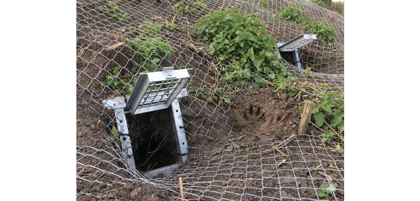 Heavy-duty metal Badger Gate designed for livestock and wildlife control