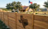 10 Things to Know Before Installing a Fence in Texas (DFW)