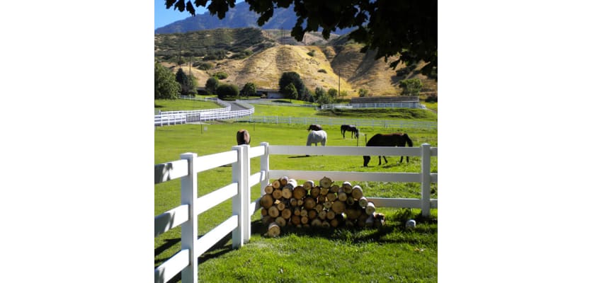 Vinyl 3 Rail Ranch Rail installed around a horse enclosure