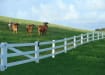 NewStead Vinyl 3 Rail Ranch Walk Gate 4' Wide x 4' High