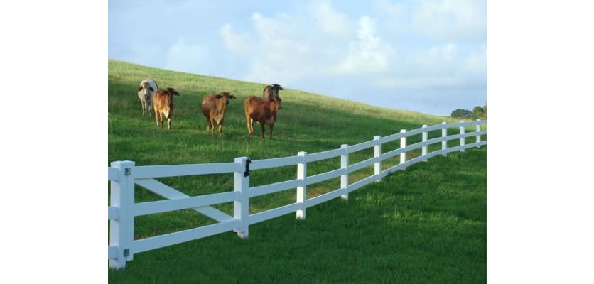 Vinyl 4 Rail Ranch Walk Gate 4' Wide x 5' High