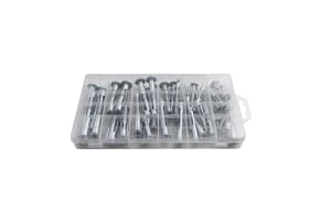 40-Piece Assorted Molly Bolts Set