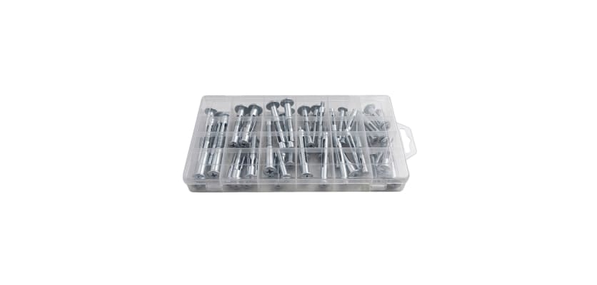 An organized clear plastic organizer case containing a 40-piece assorted molly bolt set.