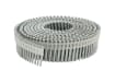 Coil of hot dipped galvanized ring shank siding nails in a plastic sheet collation.